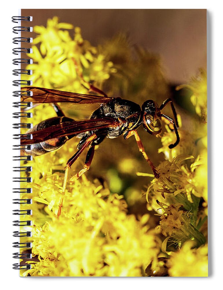 Flower Spiral Notebook featuring the photograph Bugs and Flowers by Amelia Pearn