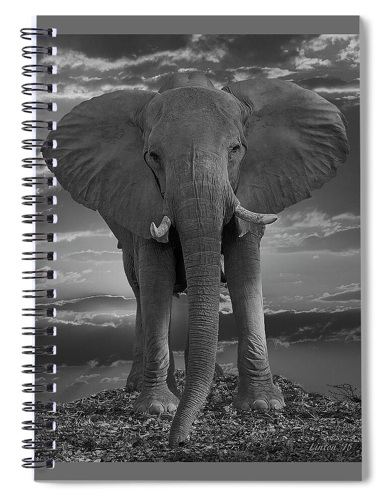 Elephant Spiral Notebook featuring the photograph Bull Elephant by Larry Linton