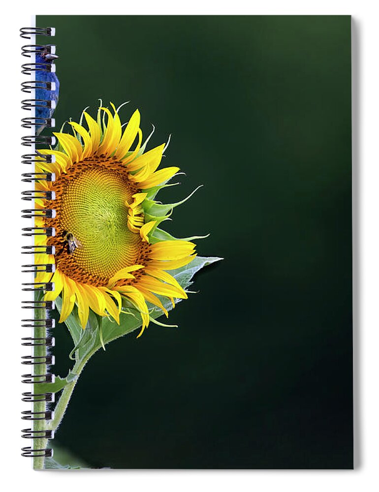 Bird Spiral Notebook featuring the photograph Bunting Ballad by Art Cole
