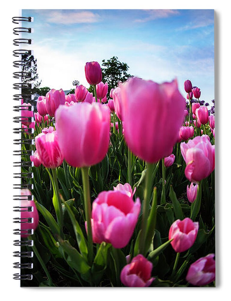  Spiral Notebook featuring the photograph Bursting Tulips by Nicole Engstrom