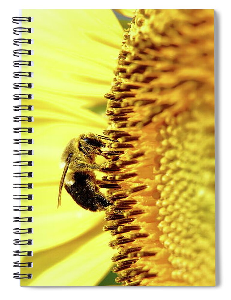 Sunflower Spiral Notebook featuring the photograph Busy Bee by Lens Art Photography By Larry Trager