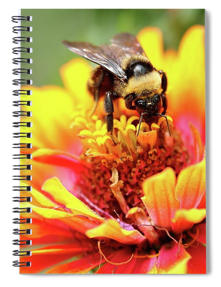 Insect Spiral Notebook featuring the photograph Busy Busy Busy by Lens Art Photography By Larry Trager