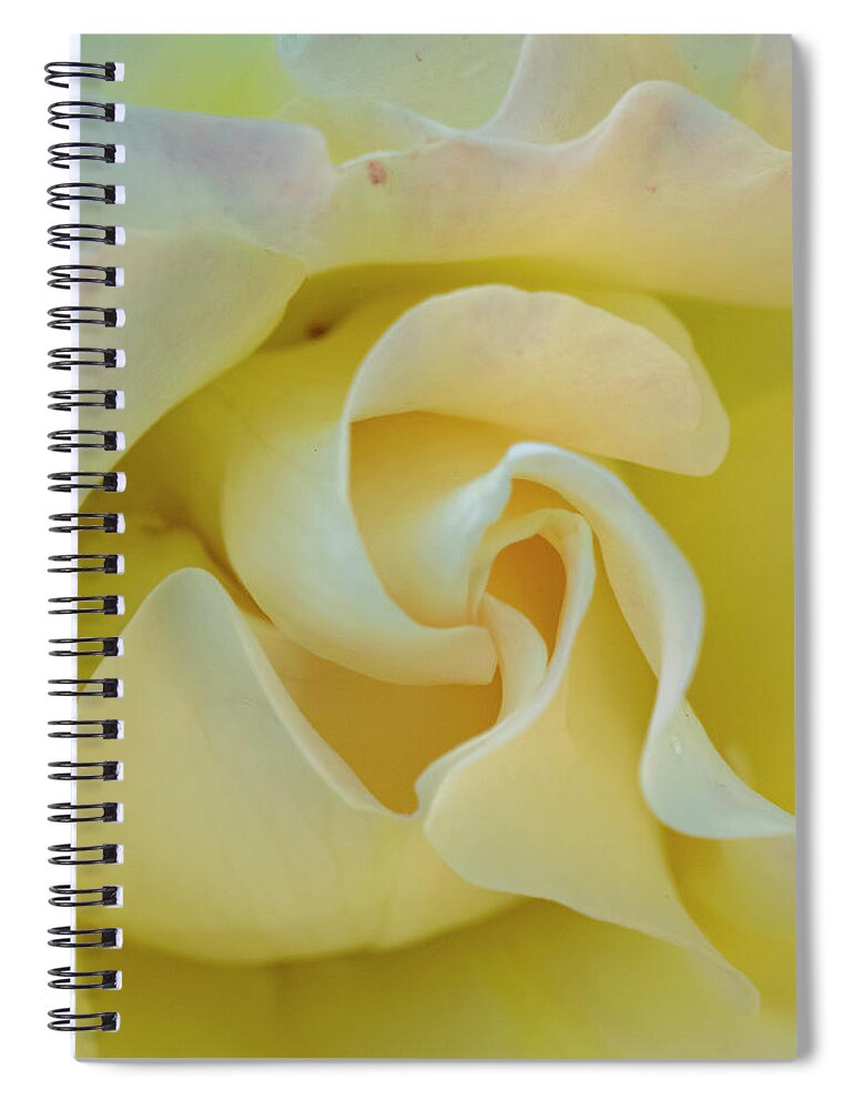 Rose Spiral Notebook featuring the photograph Butter Cream by Cathy Kovarik