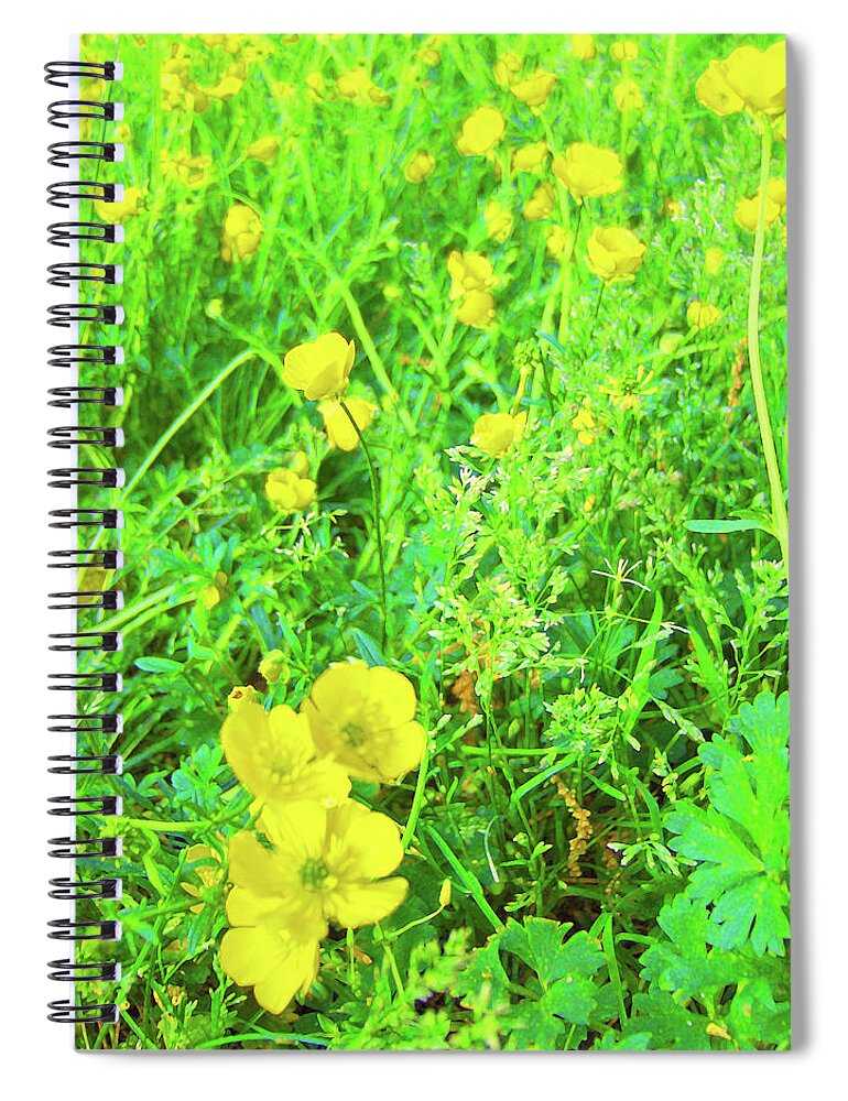 Buttercups Spiral Notebook featuring the photograph Buttercups 3315 v1 by Sandra Ford