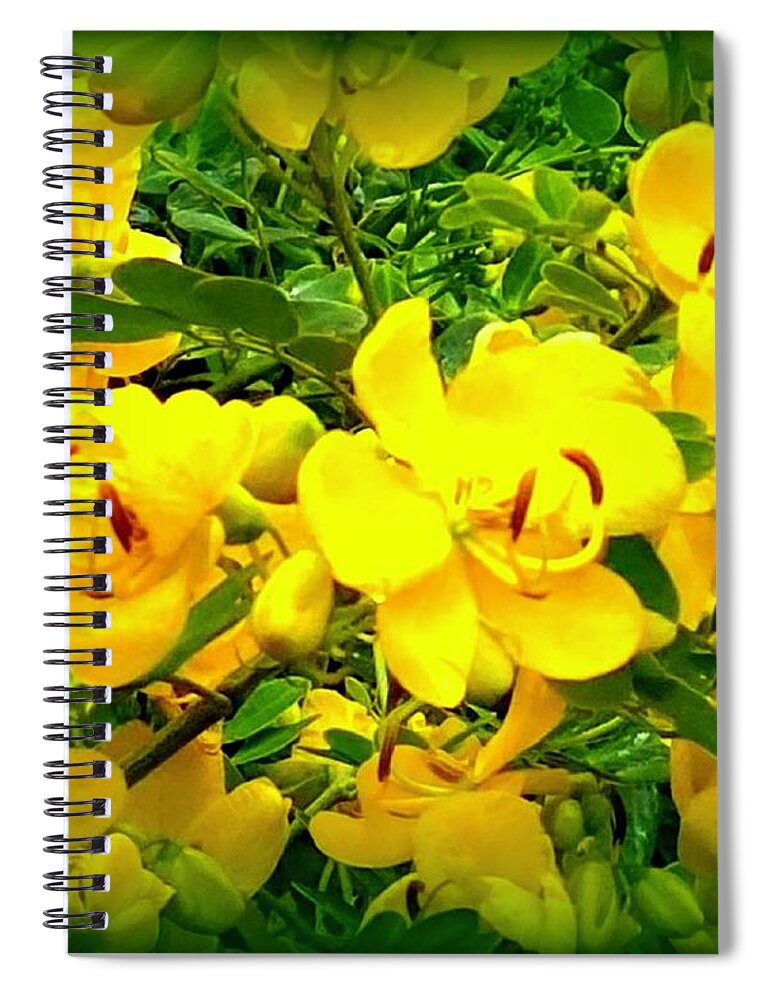 Buttercups Spiral Notebook featuring the photograph Buttercups Party by VIVA Anderson