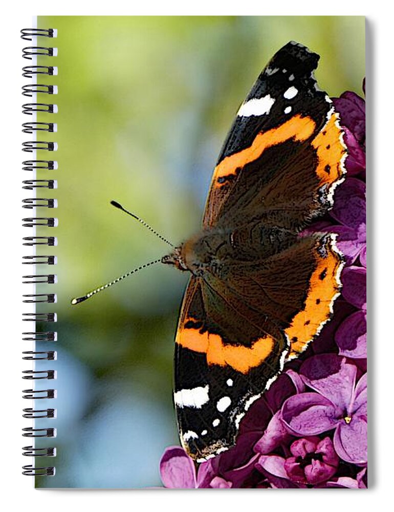 Art Spiral Notebook featuring the photograph Butterfly 14 by Jean Bernard Roussilhe