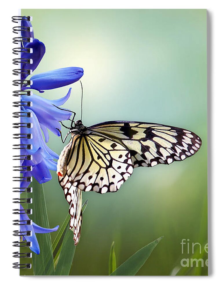 Bluebells Spiral Notebook featuring the mixed media Butterfly and Bluebell Dreams by Morag Bates