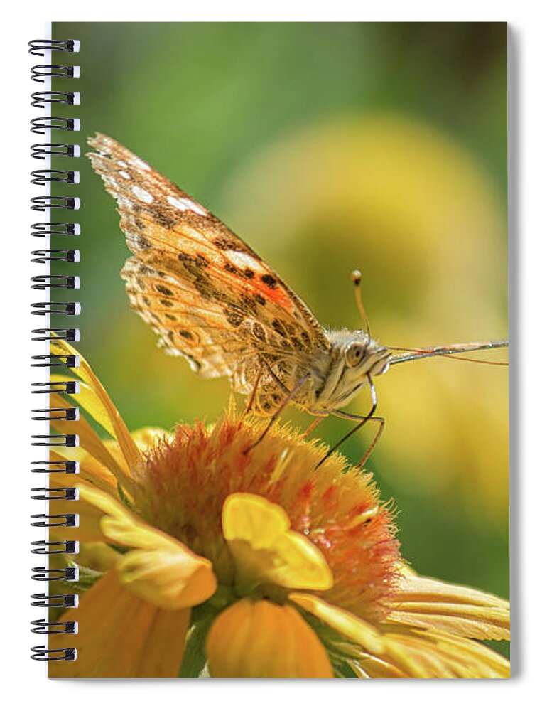 Butterfly Spiral Notebook featuring the photograph Butterfly and Flower by Lisa Chorny