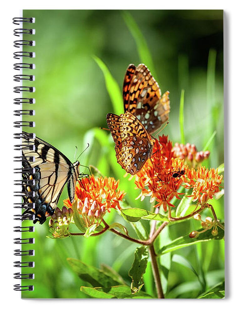 North Carolina Spiral Notebook featuring the photograph Butterfly Harmony by Dan Carmichael