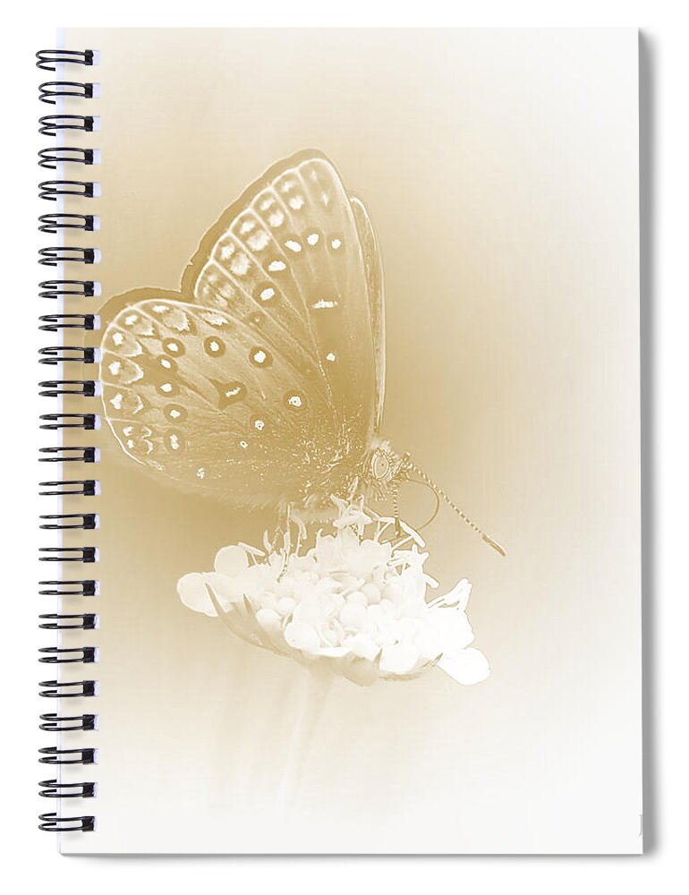 I Dreamt I Was A Butterfly Spiral Notebook featuring the photograph Butterfly by John Emmett