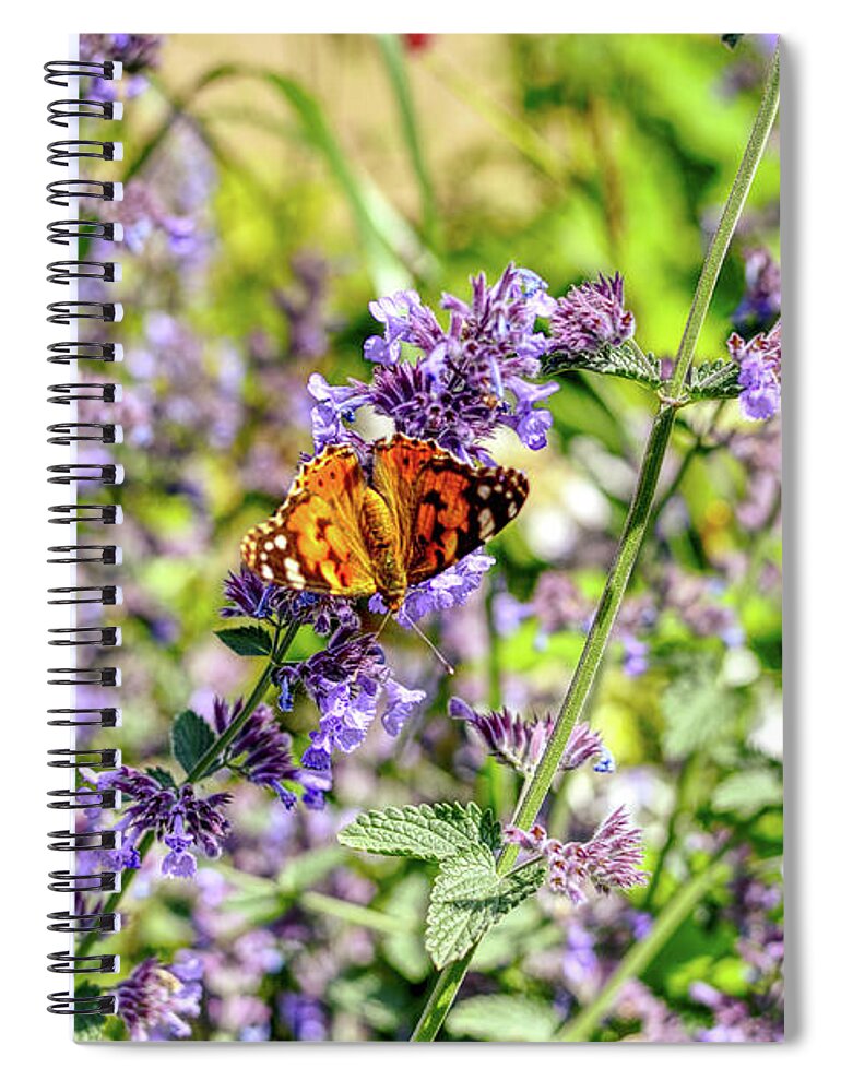 Butterfly Spiral Notebook featuring the photograph Butterfly on waste ground Manchester UK by Pics By Tony