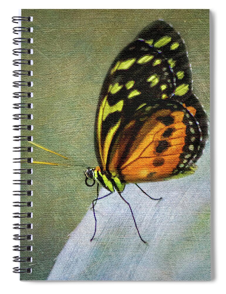 Flowers Spiral Notebook featuring the photograph Butterfly Portrait by James Woody