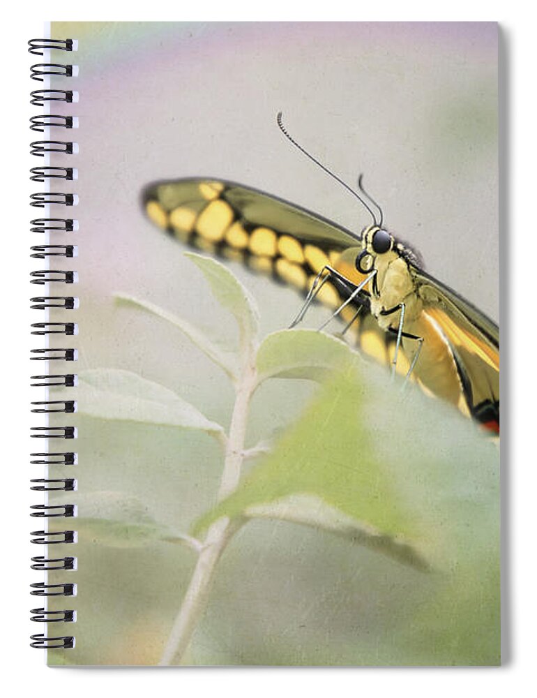 Butterfly Spiral Notebook featuring the digital art Butterfly Rainbow by Amy Dundon