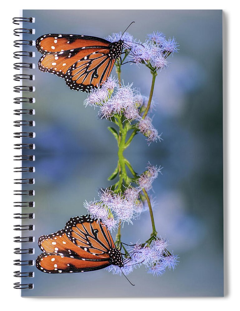 Butterfly Spiral Notebook featuring the photograph Butterfly Reflection 1072-112814-2-refl by Tam Ryan
