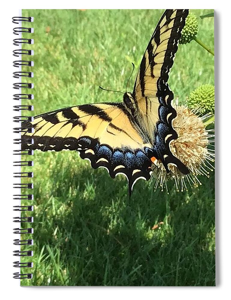 Butterfly Spiral Notebook featuring the photograph Butterfly Series 2 by Catherine Wilson