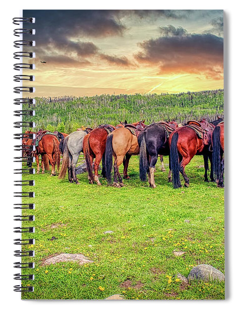 Horses Spiral Notebook featuring the photograph Butts by DB Hayes