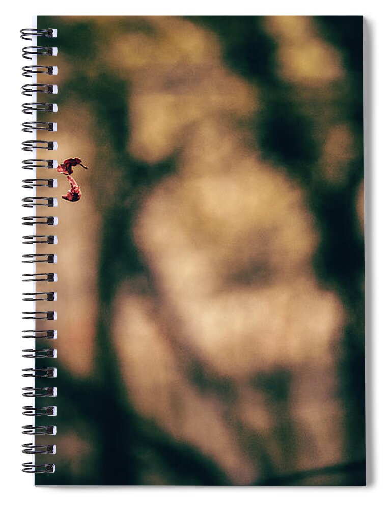 Forest Spiral Notebook featuring the photograph By a thread by Gavin Lewis