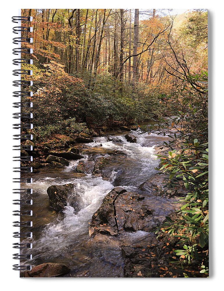 Water Spiral Notebook featuring the photograph By the water's edge by Karen Ruhl
