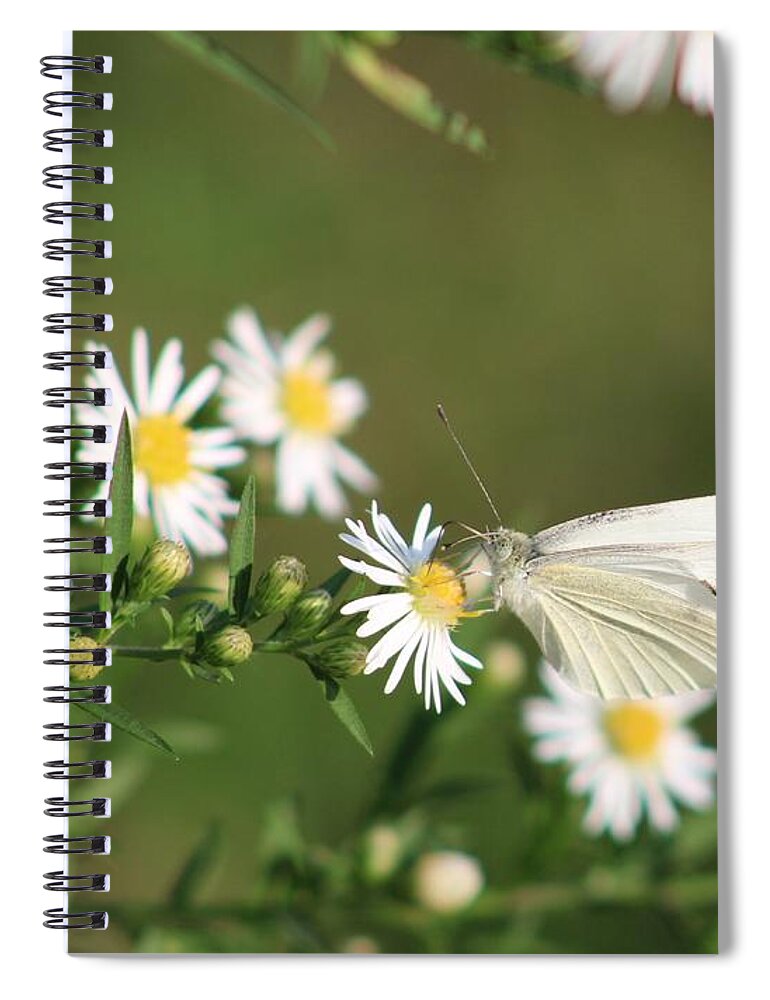 Butterfly Spiral Notebook featuring the photograph Cabbage Butterfly on Wildflowers by Christopher Reed