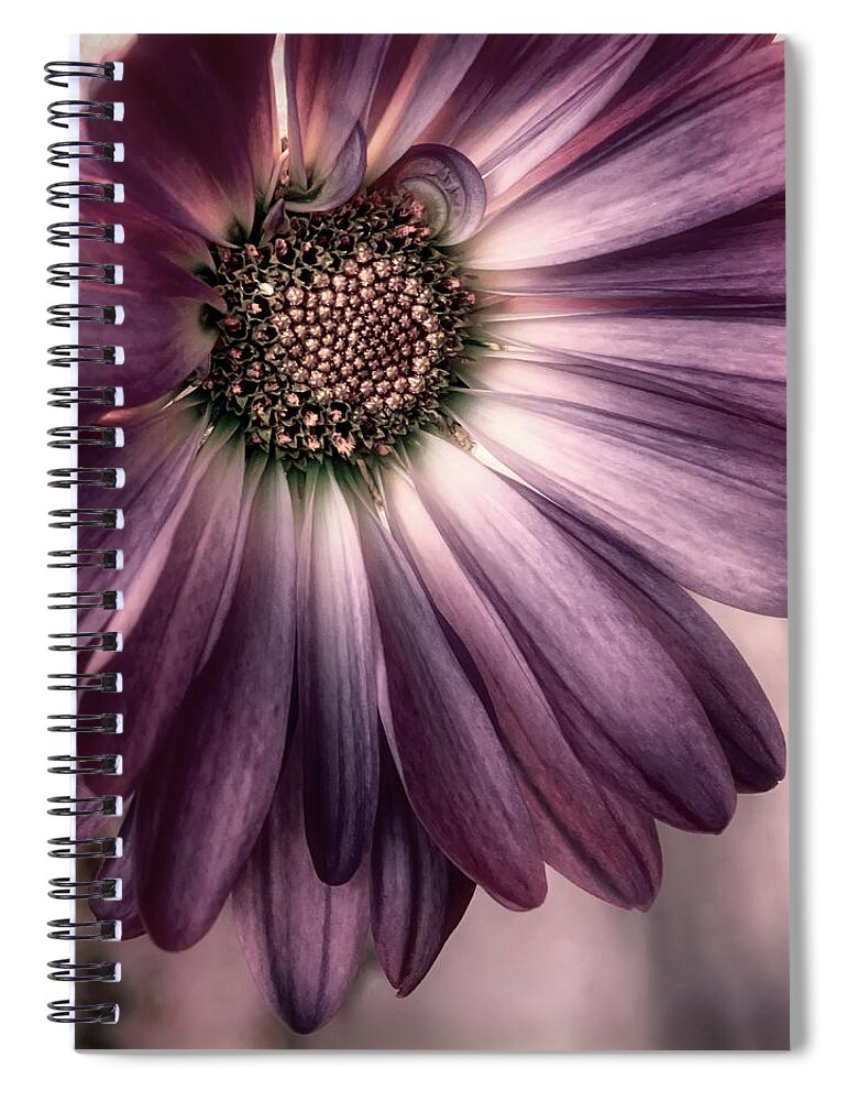 Nature Spiral Notebook featuring the photograph Cabernet Sauvignon update by Darlene Kwiatkowski