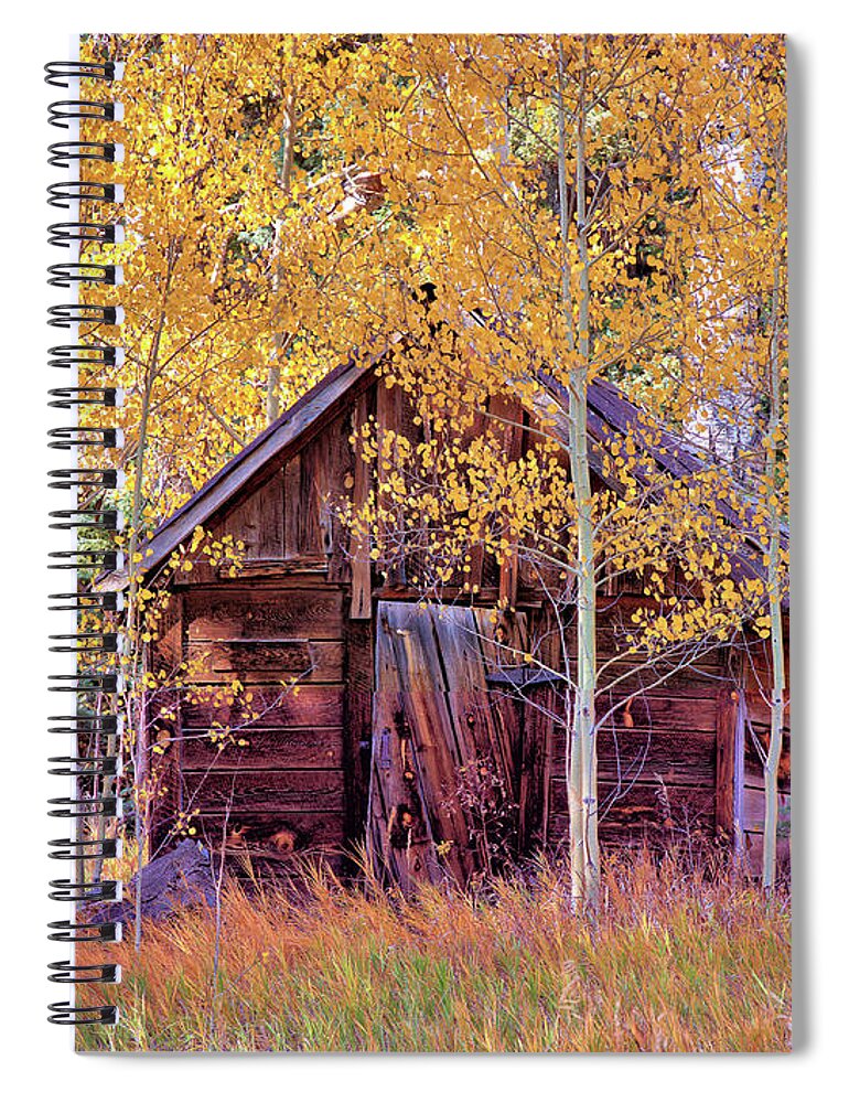 Cabin Spiral Notebook featuring the photograph Cabin in the Forest by Bob Falcone