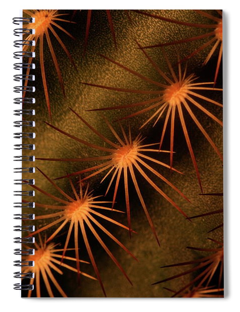 Art Spiral Notebook featuring the photograph Cactus 9521 by Julie Powell