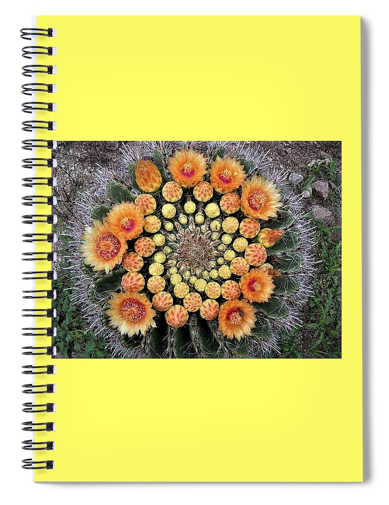 Cactus Spiral Notebook featuring the photograph Cactus Mandala by Nancy Ayanna Wyatt