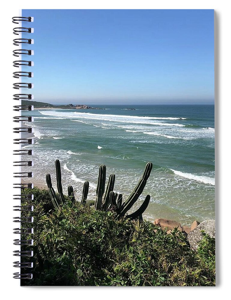 Brazil Spiral Notebook featuring the photograph Cactus View by Bettina X