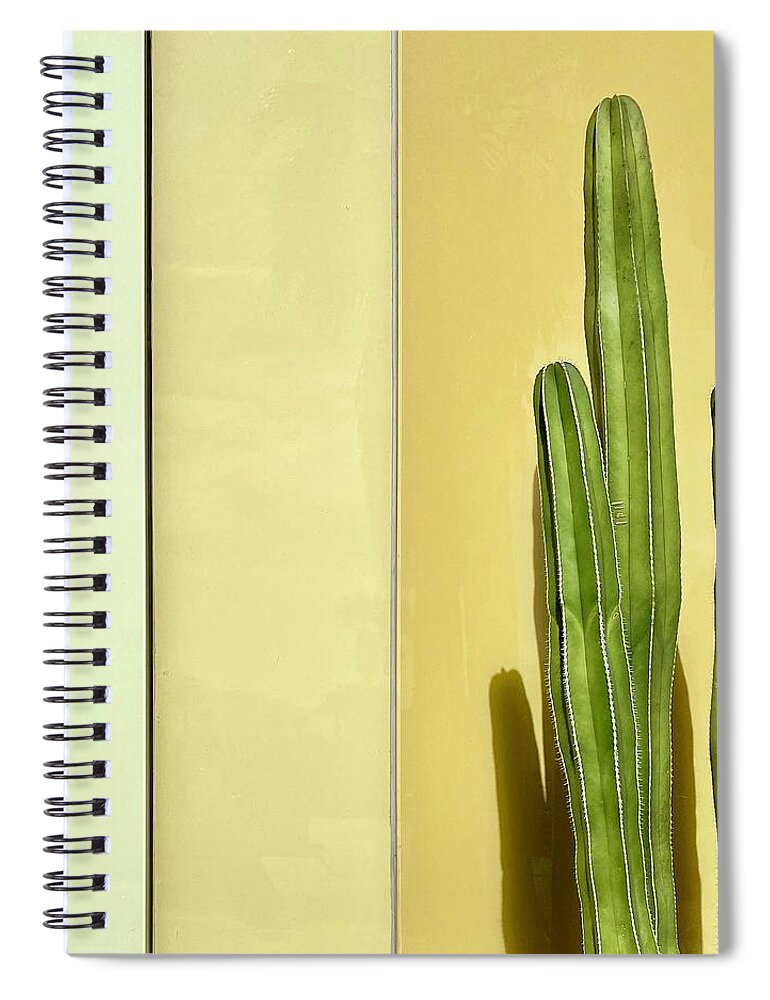  Spiral Notebook featuring the photograph Cactus Yellow Wall by Julie Gebhardt