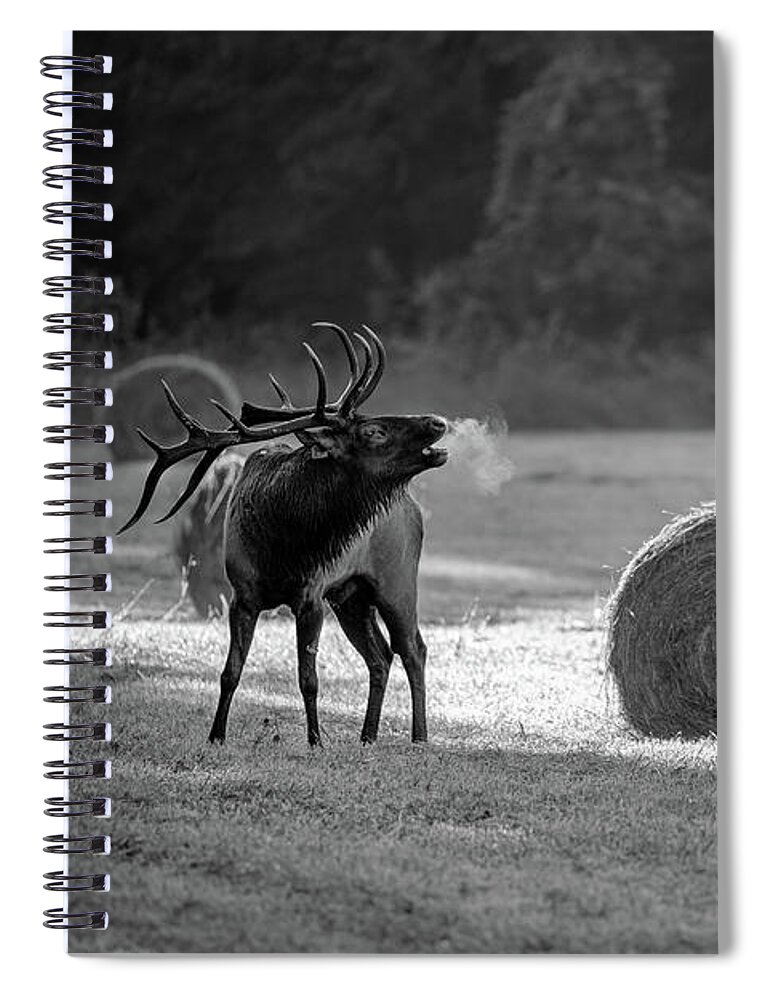 Great Smoky Mountains National Park Spiral Notebook featuring the photograph Call of the Wild by Robert J Wagner