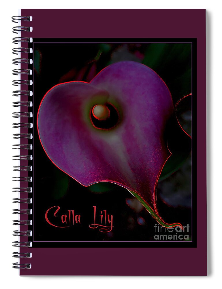 Lily Spiral Notebook featuring the photograph Calla Lily on Black by Jodie Marie Anne Richardson Traugott     aka jm-ART