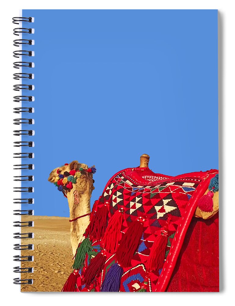 Camel Spiral Notebook featuring the photograph Camel Desert in Blue by Munir Alawi