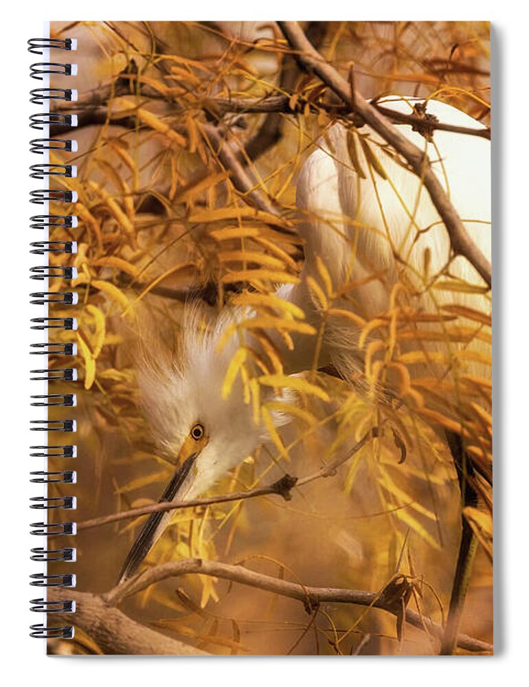 Arboretum Spiral Notebook featuring the photograph Camouflage by Rick Furmanek