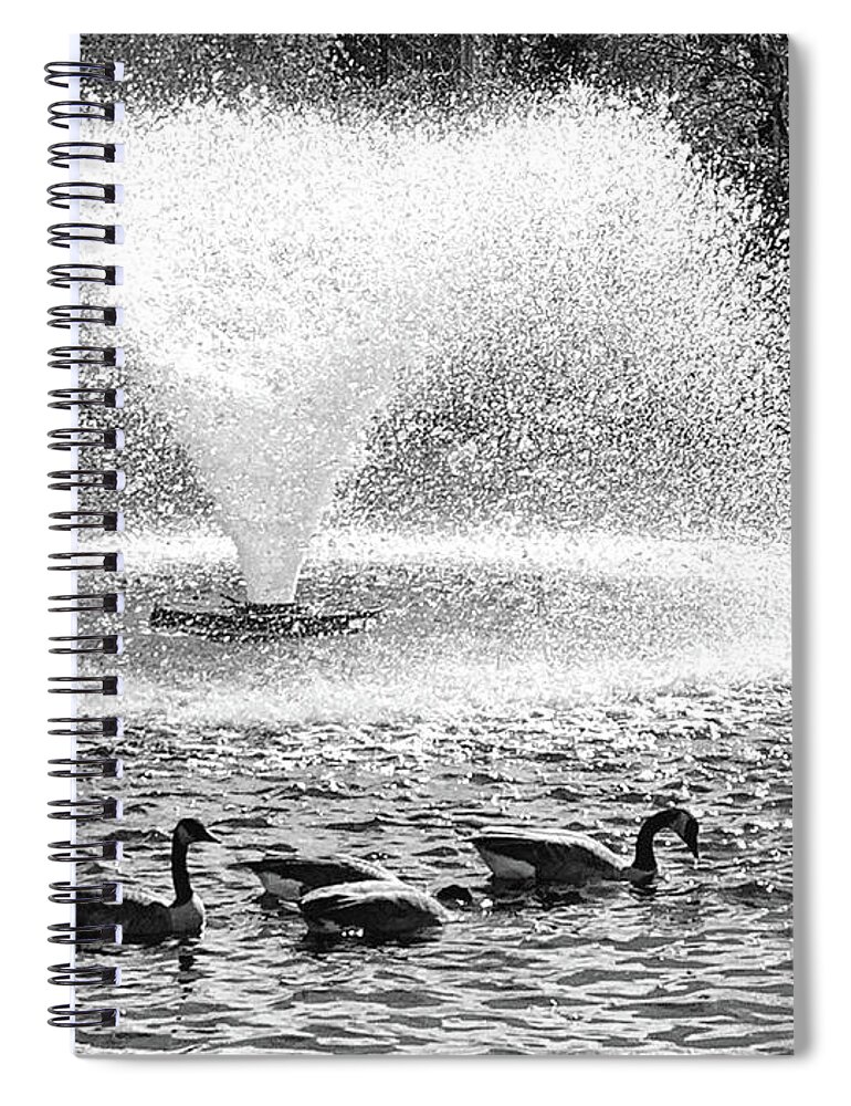 Canada Spiral Notebook featuring the photograph Canada Goose Fountain by Mary Mikawoz