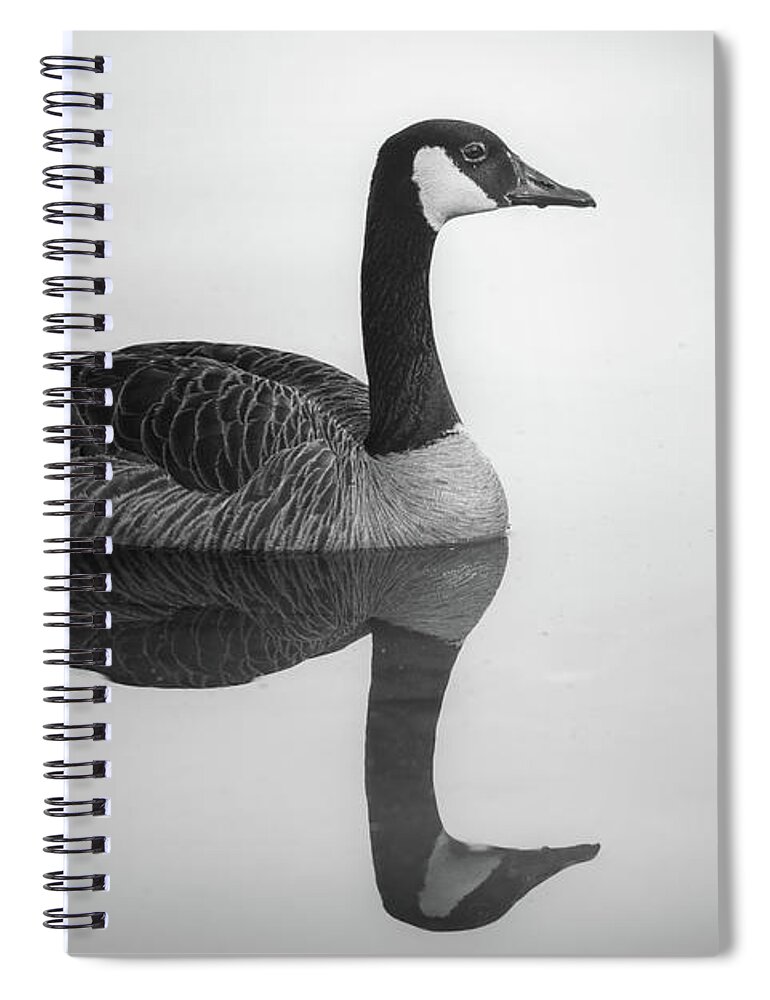 Canada Goose Spiral Notebook featuring the photograph Canada Goose Reflection Black And White by Jordan Hill