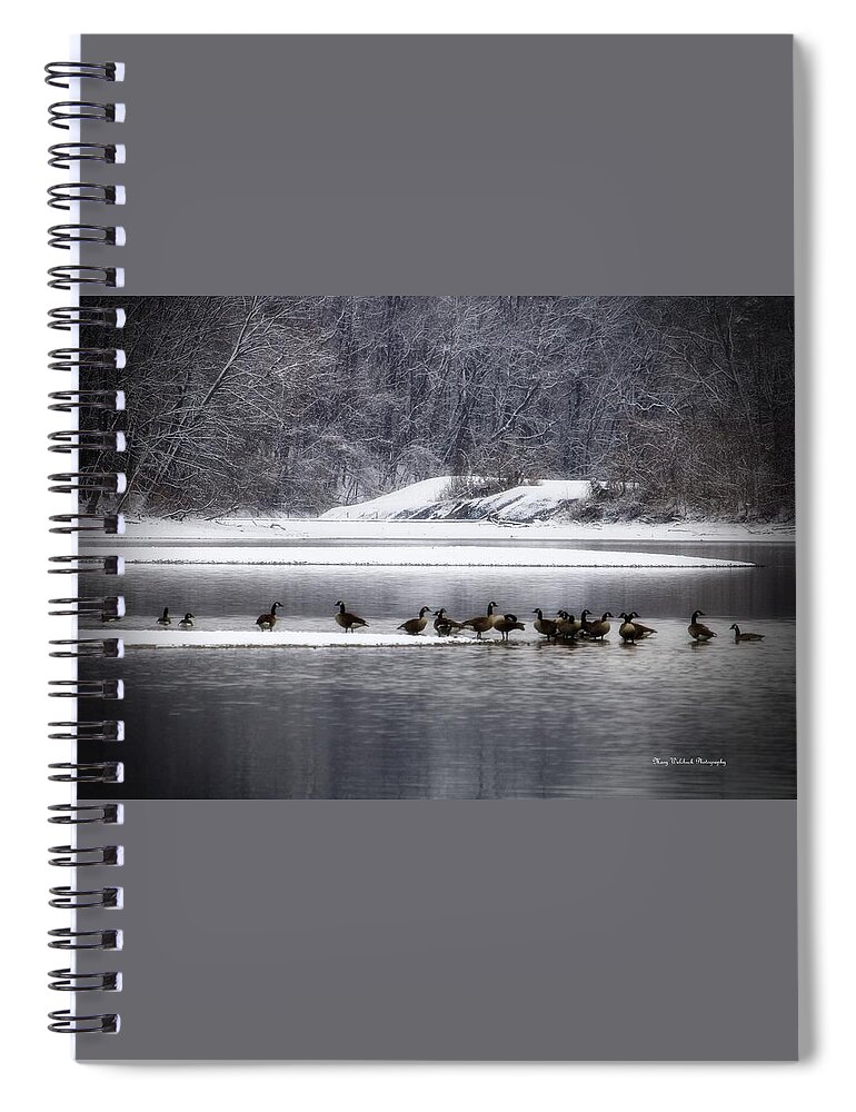 Waterfowl Spiral Notebook featuring the photograph Canadian Geese Gathering by Mary Walchuck