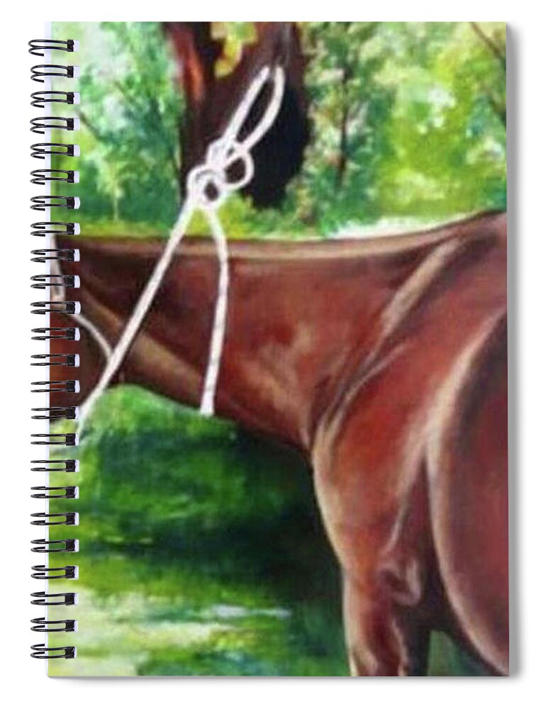 Wallpaint Spiral Notebook featuring the painting Cancha Del Rio 3 by Carlos Jose Barbieri