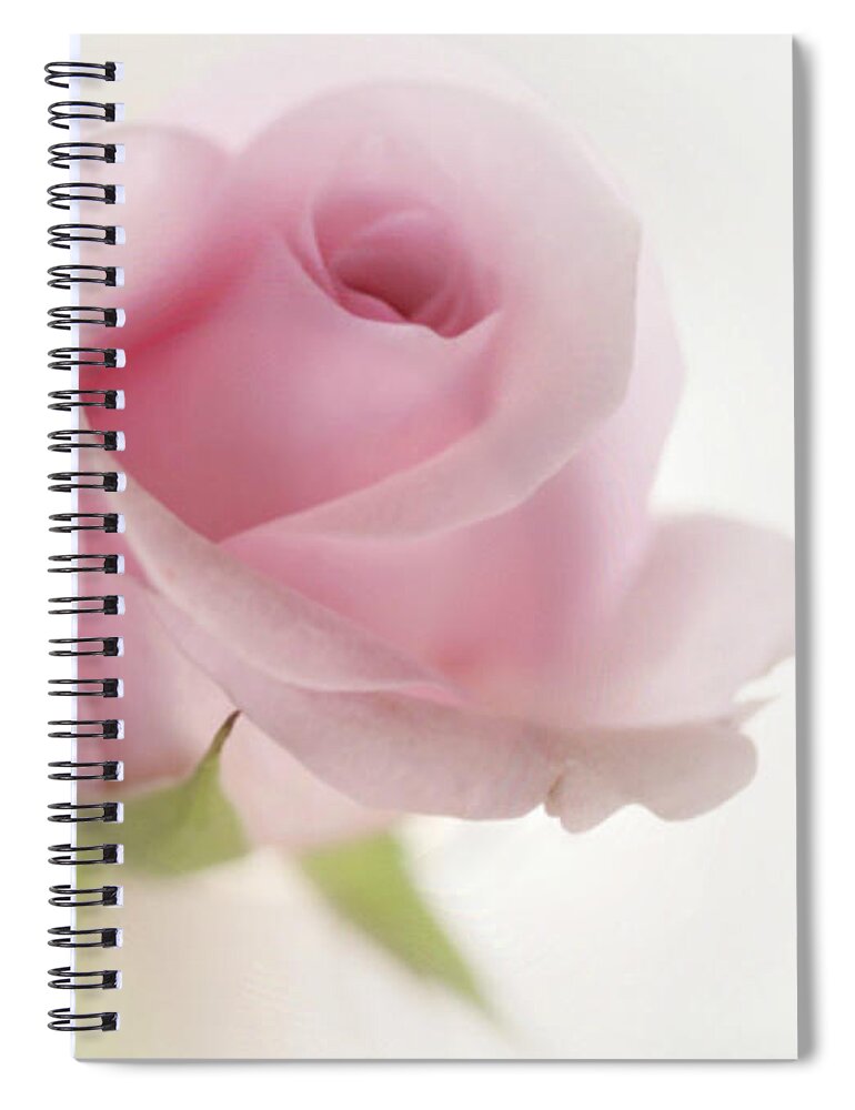 Pink Rose Spiral Notebook featuring the mixed media Candy Floss by Morag Bates
