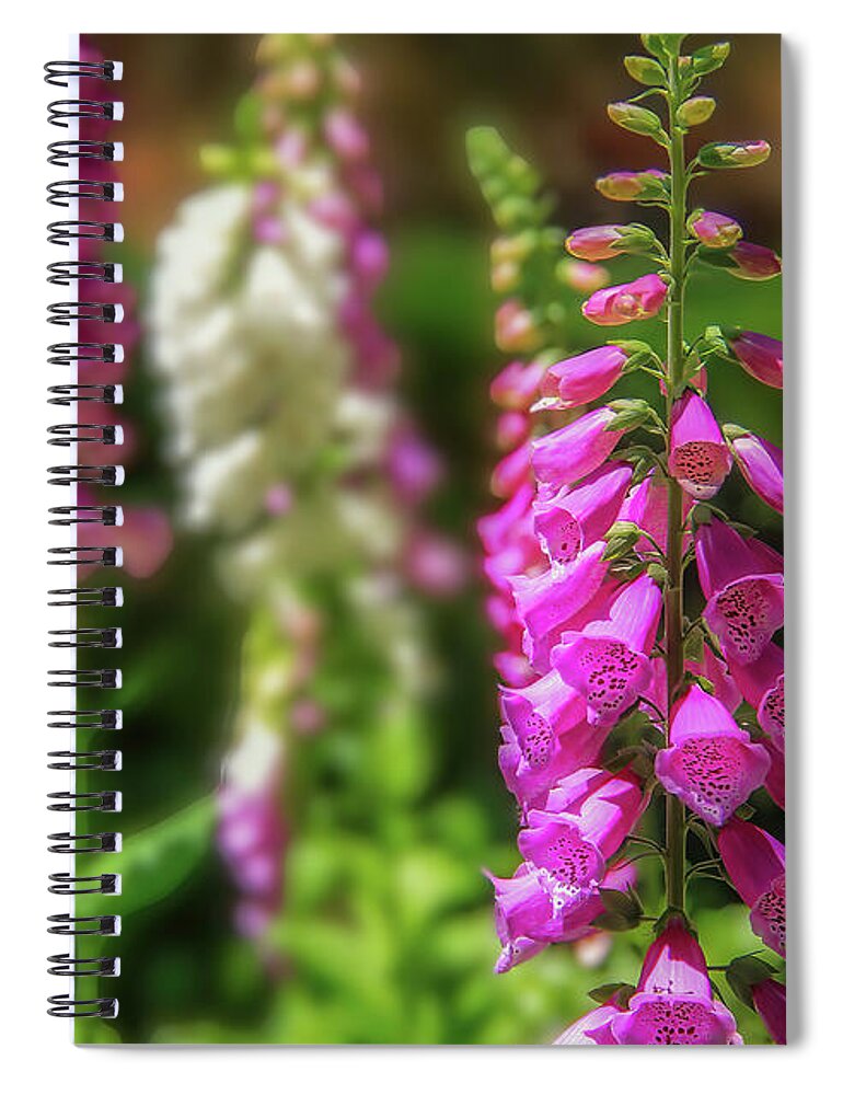 Foxglove Spiral Notebook featuring the photograph Candy Mountain Foxgloves by Shelia Hunt