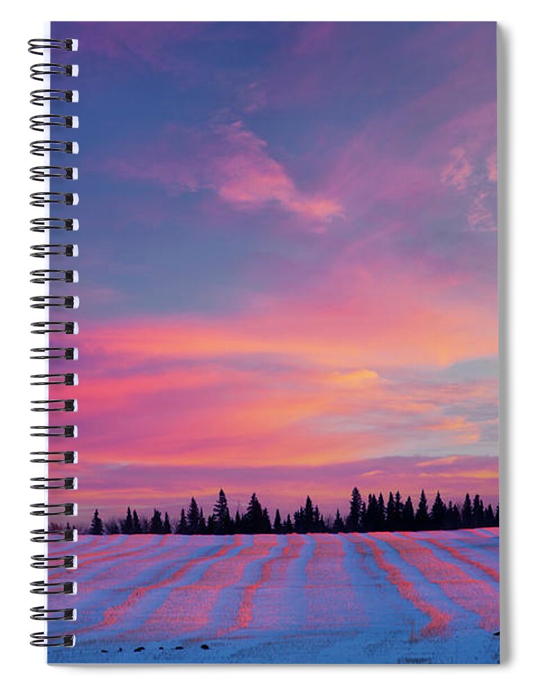 Landscape Spiral Notebook featuring the photograph Canola Field in Snow by Dan Jurak