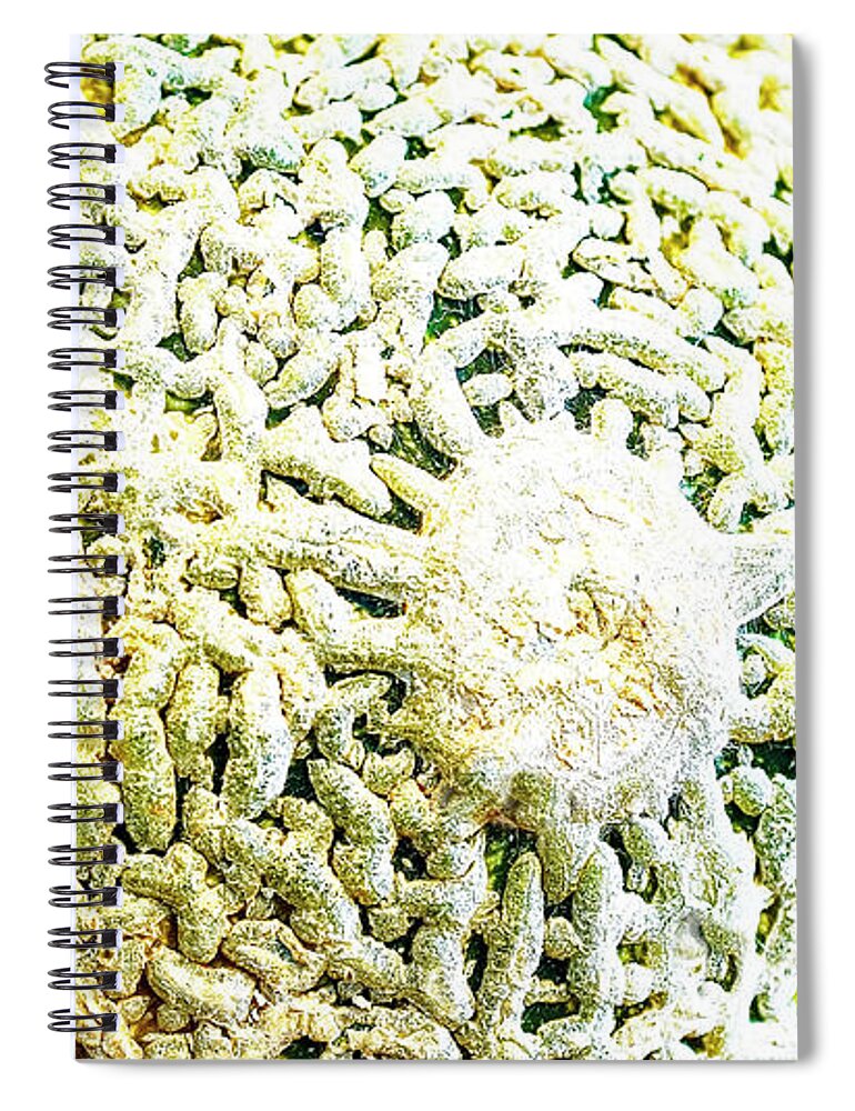 Foodphotography Spiral Notebook featuring the photograph Can't Elope by Jay Heifetz