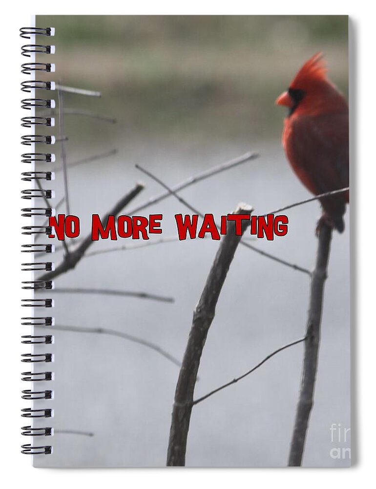 Cardinal Spiral Notebook featuring the photograph Cardinal Bird Waiting by Catherine Wilson
