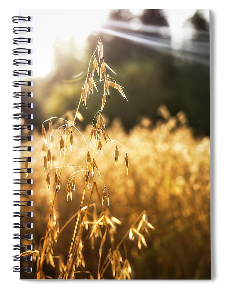 Agriculture Spiral Notebook featuring the photograph Caressed by the autumn sun by Maria Dimitrova