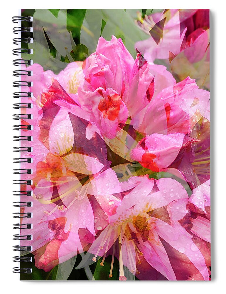 Pink Spiral Notebook featuring the digital art Carla's Choice by Nancy Olivia Hoffmann