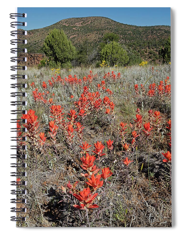 Tom Daniel Spiral Notebook featuring the photograph Carrizo Paintbrush V by Tom Daniel