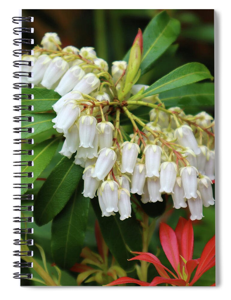 Nature Spiral Notebook featuring the photograph Cascading Lily of the Valley 2 by D Lee