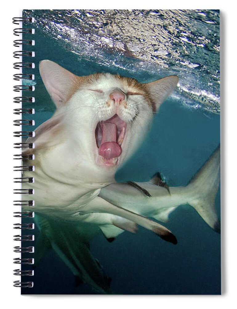 Hybrid Spiral Notebook featuring the digital art Cat Shark by Dray Van Beeck