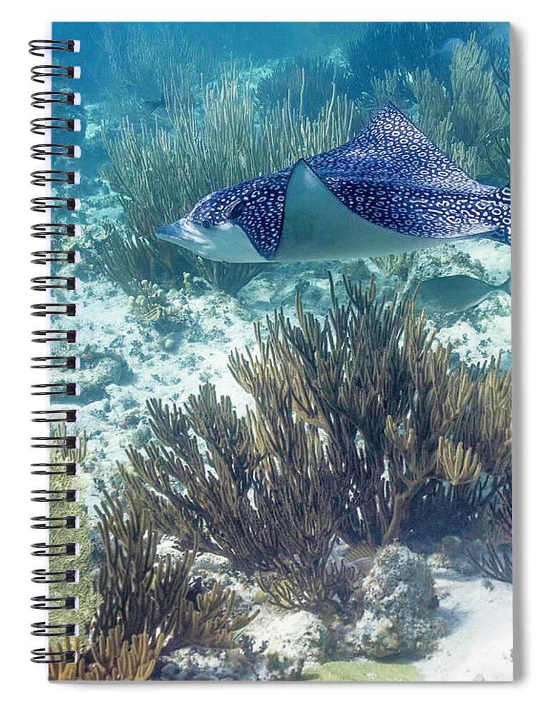 Grand Cayman Spiral Notebook featuring the photograph Catch Me If You Can by Lynne Browne