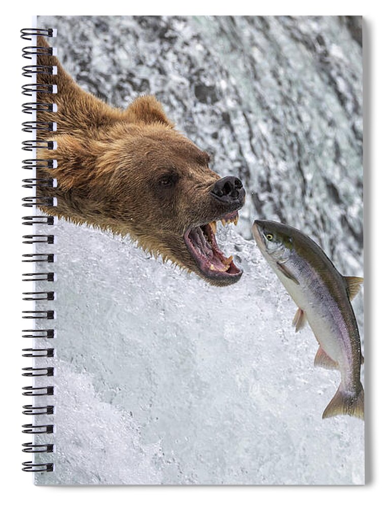 Grizzly Spiral Notebook featuring the photograph Catch of the Day by Randy Robbins