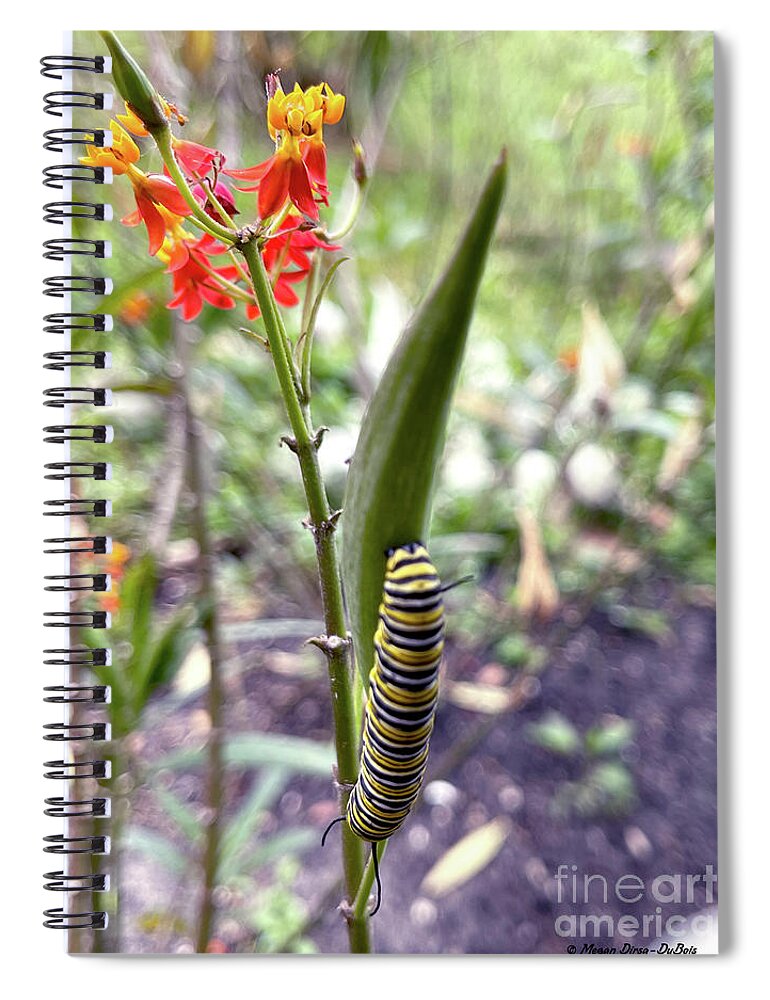 Caterpillar Spiral Notebook featuring the photograph Caterpillar5 by Megan Dirsa-DuBois